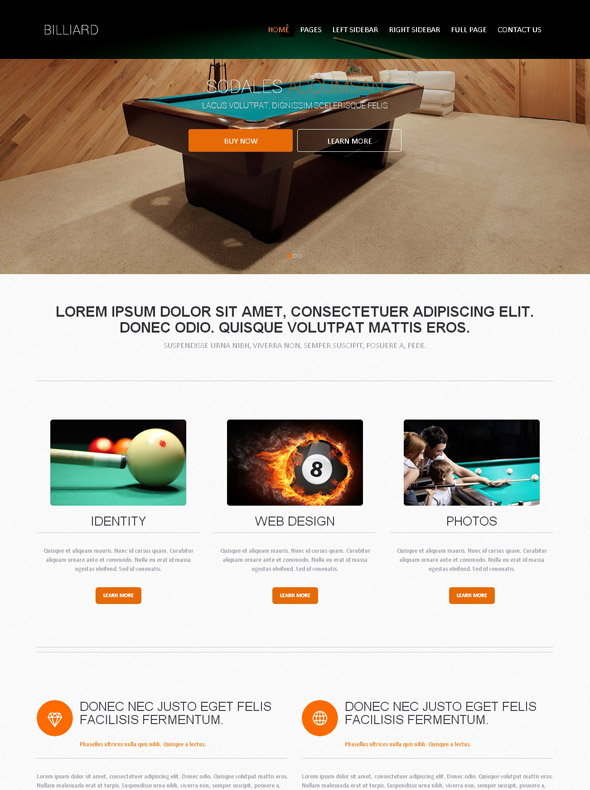 Web Template Billiards